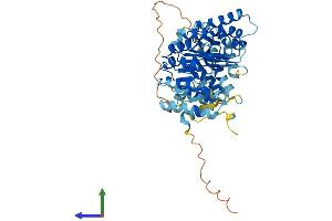 AlphaFold protein structure predicition of Human Recombinant PRAME Protein, UniprotID P78395 (PRAME Protein (AA 1-509) (His tag))