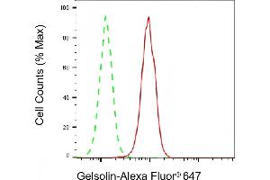 Flow cytometric analysis of Gelsolin expression in C2C12 cells using Gelsolin antibody (ABIN7798702), 1:2,000). (Recombinant Gelsolin antibody)