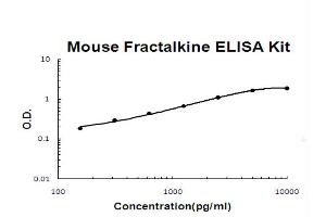 Mouse Fractalkine/CX3CL1 Accusignal ELISA Kit Mouse Fractalkine/CX3CL1 AccuSignal ELISA Kit standard curve. (CX3CL1 ELISA Kit)