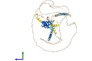 AlphaFold protein structure predicition of Human Recombinant ACBD5 Protein, UniprotID Q5T8D3 (ACBD5 Protein (AA 1-534) (His tag))