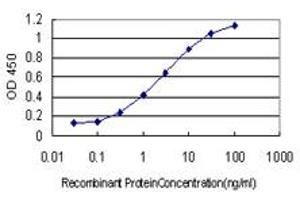 Detection limit for recombinant GST tagged GSTO1 is approximately 0. (GSTO1 antibody  (AA 121-209))