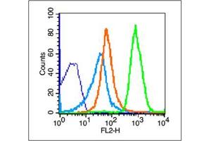Thymus cells probed with NKG2D Polyclonal Antibody, unconjugated  at 1:100 dilution for 30 minutes compared to control cells (blue) and isotype control (orange) (KLRK1 antibody  (AA 121-219))
