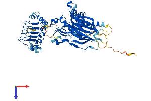 CNOT6 Protein (AA 1-557) (His tag)