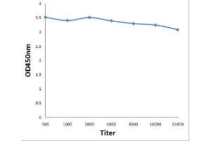 Antigen: 0. (UBE2N antibody  (AA 56-152))