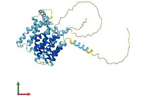 AlphaFold protein structure predicition of Human Recombinant SLC35F3 Protein, UniprotID Q8IY50