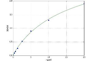 Cytochrome P450, Family 2, Subfamily C, Polypeptide 9 (CYP2C9) ELISA Kit