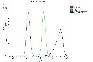 Flow Cytometry analysis of U20S cells using anti-ALDOA antibody (ABIN7601907). (ALDOA antibody  (AA 50-364))