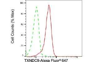 Flow cytometric analysis of TXNDC9 expression in HT- cells using TXNDC9 antibody (ABIN7800543), 1:2,000). (Recombinant TXNDC9 antibody)