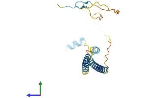 Protein Structure (PS) image for Integrin beta 3 Binding Protein (Beta3-Endonexin) (ITGB3BP) (AA 1-177) protein (His tag) (ABIN7553236)