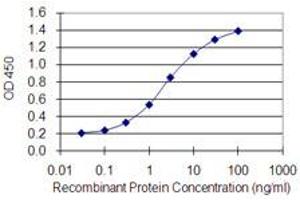 Detection limit for recombinant GST tagged GATA4 is 0. (GATA4 antibody  (AA 343-442))