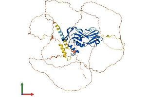 Protein Structure (PS) image for T-Box 18 (TBX18) (AA 1-613) protein (His tag) (ABIN7561388)