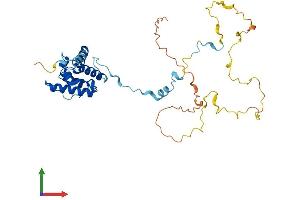 AlphaFold protein structure predicition of Mouse Recombinant Cnn3 Protein, UniprotID Q9DAW9