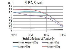 Black line: Control Antigen (100 ng), Purple line: Antigen(10 ng), Blue line: Antigen (50 ng), Red line: Antigen (100 ng), (NOTCH3 antibody  (AA 47-156))