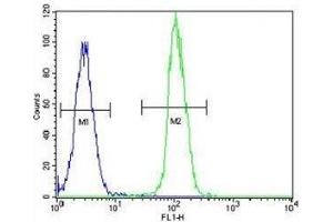 TrkA antibody flow cytometric analysis of HeLa cells (green) compared to a negative control (blue). (TRKA antibody  (AA 769-796))