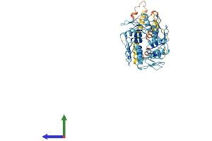 Protein Structure (PS) image for Zinc Finger Protein 117 (ZNF117) (AA 1-483) protein (His tag) (ABIN7545445)
