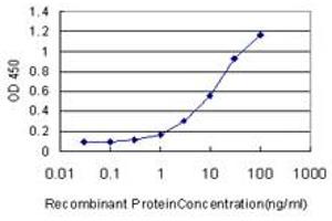 Detection limit for recombinant GST tagged MAGEA3 is approximately 0. (MAGEA3 antibody  (AA 44-114))