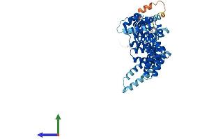 Protein Structure (PS) image for TATA Box Binding Protein (TBP)-Associated Factor, RNA Polymerase I, A, 48kDa (TAF1A) (AA 1-450) protein (His tag) (ABIN7544226)