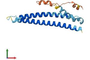 Protein Structure (PS) image for WAS Protein Homolog Associated with Actin, Golgi Membranes and Microtubules Pseudogene 3 (WHAMMP3) (AA 1-153) protein (His tag) (ABIN7545129)