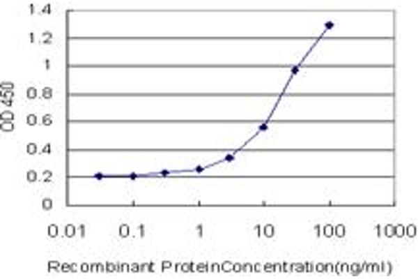 LRAT antibody  (AA 1-230)