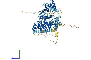 Protein Structure (PS) image for DEAD (Asp-Glu-Ala-Asp) Box Polypeptide 41 (DDX41) (AA 1-622) protein (His tag) (ABIN7547017)