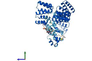 AlphaFold protein structure predicition of Human Recombinant STIP1 Protein, UniprotID P31948