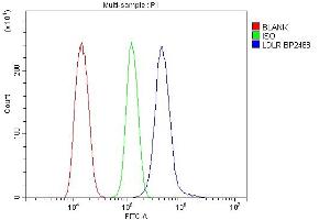 Flow Cytometry analysis of NRK cells using anti-LDLR antibody (ABIN7601438). (LDLR antibody  (AA 35-843))