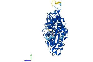 Protein Structure (PS) image for ARP1 Actin-Related Protein 1 Homolog B, Centractin beta (ACTR1B) (AA 1-376) protein (His tag) (ABIN7559780)