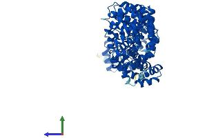 AlphaFold protein structure predicition of Human Recombinant RAP1GDS1 Protein, UniprotID P52306