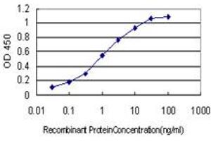Detection limit for recombinant GST tagged MYBPH is approximately 0. (MYBPH antibody  (AA 1-477))