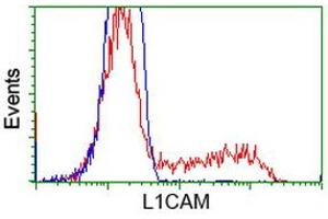 Flow Cytometry (FACS) image for anti-L1 Cell Adhesion Molecule (L1CAM) antibody (ABIN1499082) (L1CAM antibody)