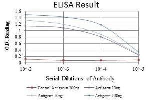 Red: Control Antigen (100 ng), Purple: Antigen (10 ng), Green: Antigen (50 ng), Blue: Antigen (100 ng), (CD94 antibody)