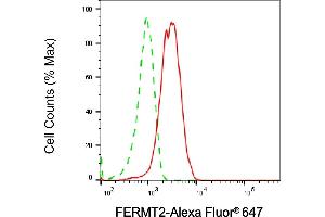 Flow cytometric analysis of FERMT2 expression in HepG2 cells using FERMT2 antibody (ABIN7798593), 1:2,000).