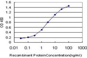 Detection limit for recombinant GST tagged PTPRJ is approximately 0. (PTPRJ antibody  (AA 38-137))