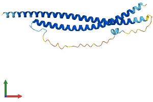 AlphaFold protein structure predicition of Human Recombinant SNAP25 Protein, UniprotID P60880 (SNAP25 Protein (AA 1-206) (His tag))