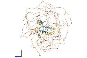 AlphaFold protein structure predicition of Human Recombinant BCL9L Protein, UniprotID Q86UU0 (BCL9L Protein (AA 1-1499) (His tag))