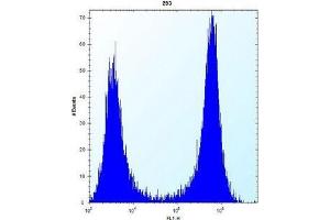 AP51131PU-N Cathepsin K Antibody flow cytometric analysis of 293 cells (right histogram) compared to a negative control cell (left histogram). (Cathepsin K antibody  (Middle Region))