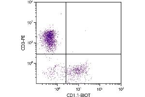 Chicken peripheral blood lymphocytes were stained with Mouse Anti-Chicken CD1. (CD1d1 antibody  (Biotin))