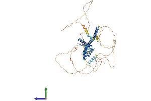 AlphaFold protein structure predicition of Human Recombinant SOX13 Protein, UniprotID Q9UN79 (SOX13 Protein (AA 1-622) (His tag))