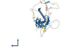 Protein Structure (PS) image for ATR Interacting Protein (ATRIP) (AA 1-785) protein (His tag) (ABIN7558766)