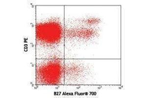 Flow Cytometry (FACS) image for anti-Interferon gamma (IFNG) antibody (Alexa Fluor 700) (ABIN2658102) (Interferon gamma antibody  (Alexa Fluor 700))