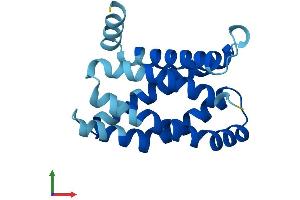 Protein Structure (PS) image for MpV17 Mitochondrial Inner Membrane Protein (MPV17) (AA 1-176) protein (His tag) (ABIN7562938)