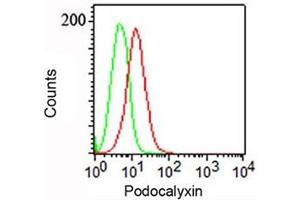 FACS surface staining of NCCIT cells with Podocalyxin antibody (PODXL antibody  (Extracellular Domain))