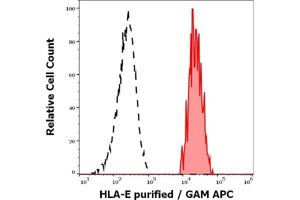 HLA-E antibody