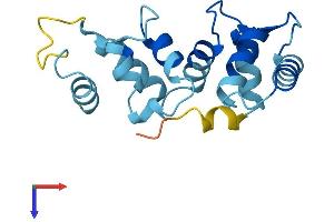 AlphaFold protein structure predicition of Mouse Recombinant Cib3 Protein, UniprotID Q0P523 (CIB3 Protein (AA 1-160) (His tag))