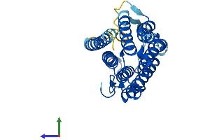 Protein Structure (PS) image for Steroid-5-alpha-Reductase, alpha Polypeptide 1 (3-Oxo-5 alpha-Steroid delta 4-Dehydrogenase alpha 1) (SRD5A1) (AA 1-259) protein (His tag) (ABIN7545929)
