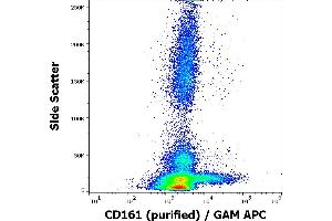 Flow cytometry surface staining pattern of human peripheral blood cells stained using anti-human CD161 (HP-3G10) purified antibody (concentration in sample 4 μg/mL) GAM APC.