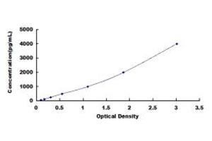 Typical standard curve (TIMP1 ELISA Kit)