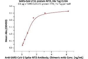 Immobilized SARS-CoV-2 S1 protein NTD, His Tag (ABIN6992377) at 1 μg/mL (100 μL/well) can bind A-CoV-2 Spike NTD Antibody, Chimeric mAb  with a linear range of 0. (SARS-CoV-2 Spike S1 Protein (B.1.351 - beta) (His tag))