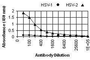 ELISA image for anti-Herpes Simplex Virus Type 2, Glycoprotein E (HSV2 gE) antibody (ABIN265568) (HSV-2 gE antibody)