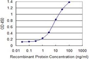 Detection limit for recombinant GST tagged VAMP5 is 0. (VAMP5 antibody  (AA 1-70))
